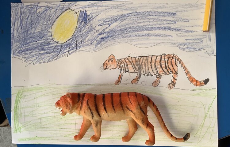 Image of Observational drawing by Year one