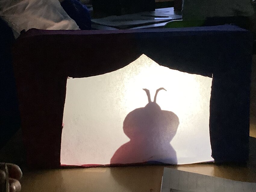 Image of Year 3 Shadow Puppet Theatres