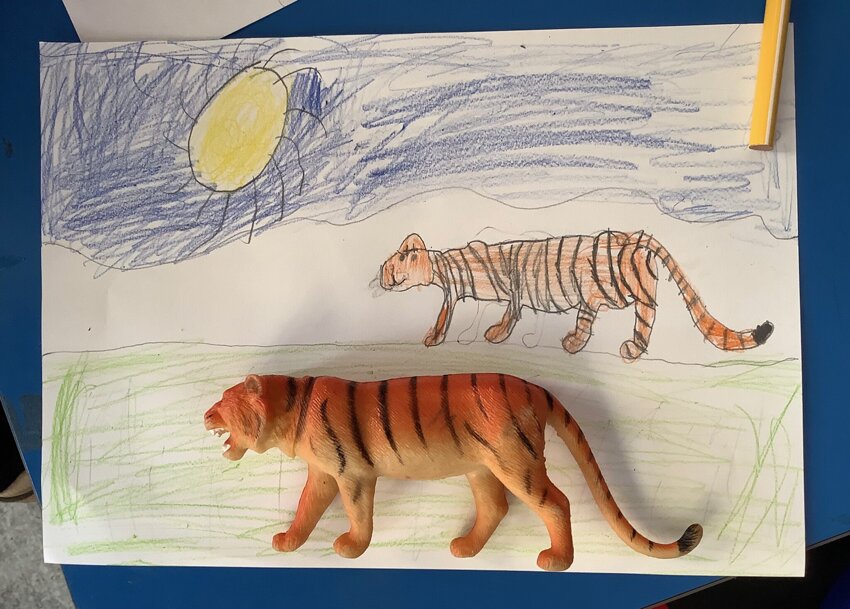 Image of Observational drawing by Year one